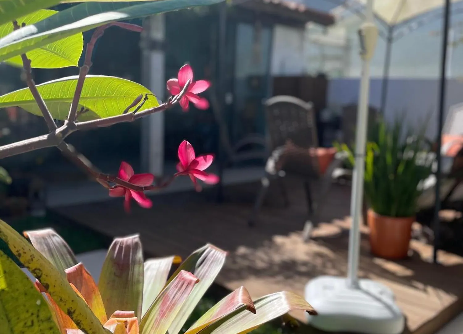 Quintal Da Casa Bed and Breakfast Garopaba 0*,