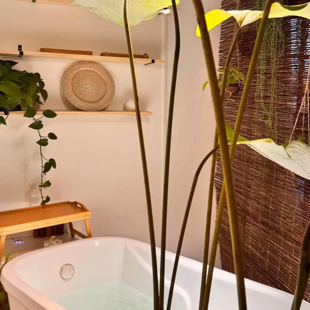 Quintal Da Casa Bed and Breakfast Garopaba 0*,